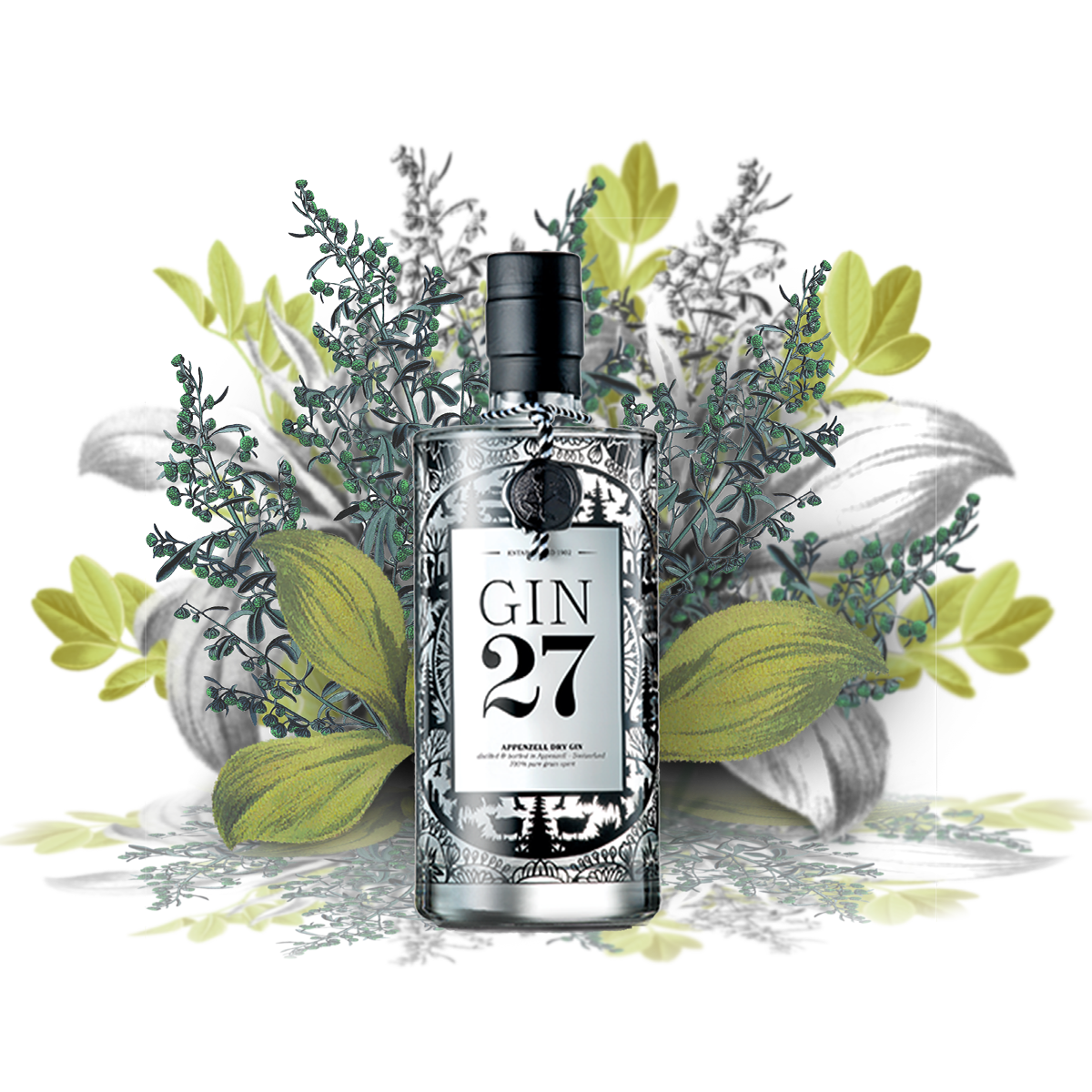 Gin 27